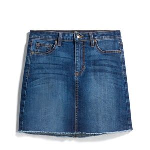 Stitch Fix Tatiana Denim Skirt